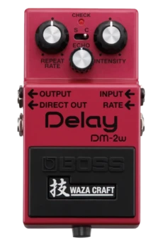 Boss DM-2w Delay