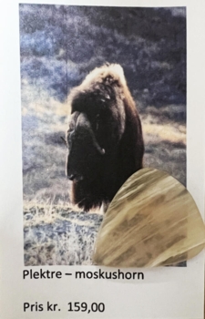 Plektre - moskushorn