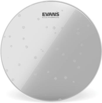 Evans 12" coated