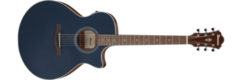 Ibanez AE100-DBF