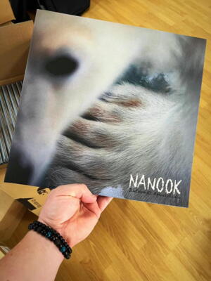 Nanook - Ilutsinniit Apuussilluta (vinyl)