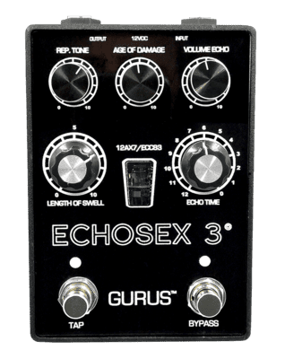 GURUS - Echosex 3
