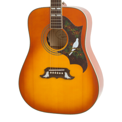 Epiphione Dove Studio Violinburst