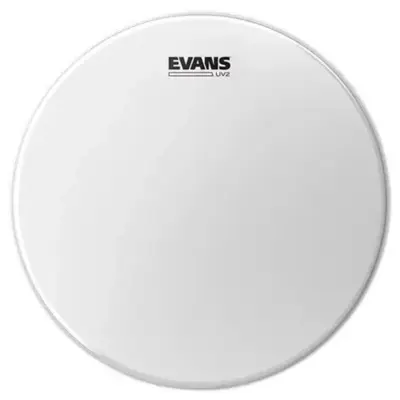 Evans 10" B10UV2