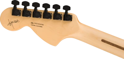 Fender Jim Root Jazzmaster