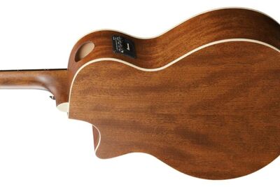Ibanez AE100-DBF