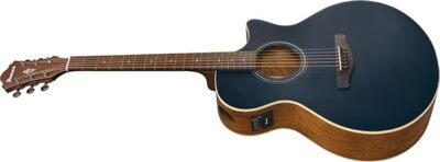 Ibanez AE100-DBF