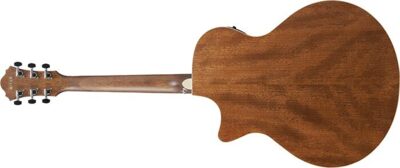 Ibanez AE100-DBF