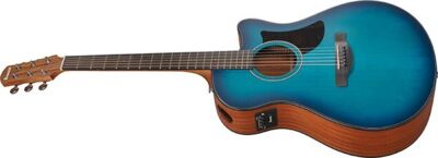 Ibanez AEGB24FE-MHS