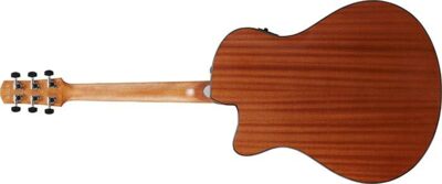 Ibanez AEGB24FE-MHS