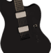 Fender Jim Root (Slipknot) Jazzmaster