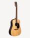 C.F. Martin D-X2E Brazilian