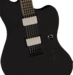Fender Jim Root Jazzmaster