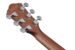 IBanez AEWC16QA-TEH