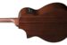 IBanez AEWC16QA-TEH