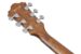 Ibanez AE100-DBF
