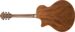Ibanez AE100-DBF