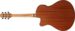 Ibanez AEGB24FE-MHS