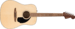 Fender California Standard Redondo Pack