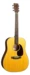 Martin D-10E Retro Spruce