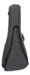 Martin D-10E Retro Spruce