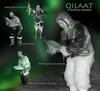 Qilaat – A Spiritual Journey