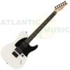 Fender Jim Root (Slipknot) Telecaster