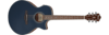 Ibanez AE100-DBF
