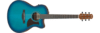 Ibanez AEGB24FE-MHS